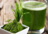 10 lợi ích sức khỏe của tảo xoắn Spirulina